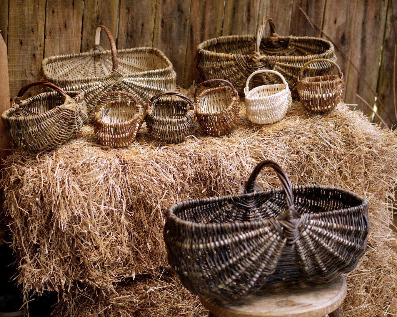 Les paniers de la collection